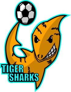 tigersharklogo tigersharklogo